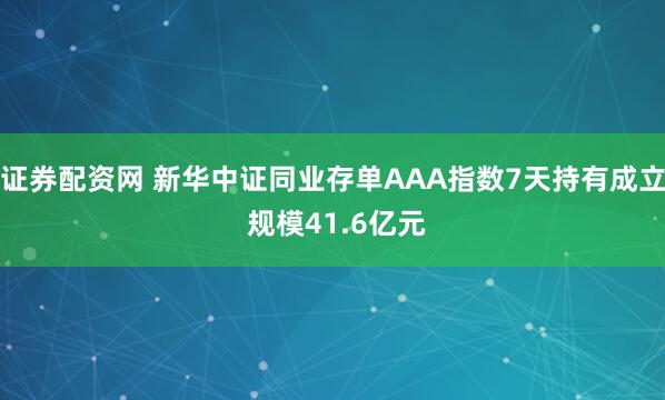 证券配资网 新华中证同业存单AAA指数7天持有成立 规模41.6亿元